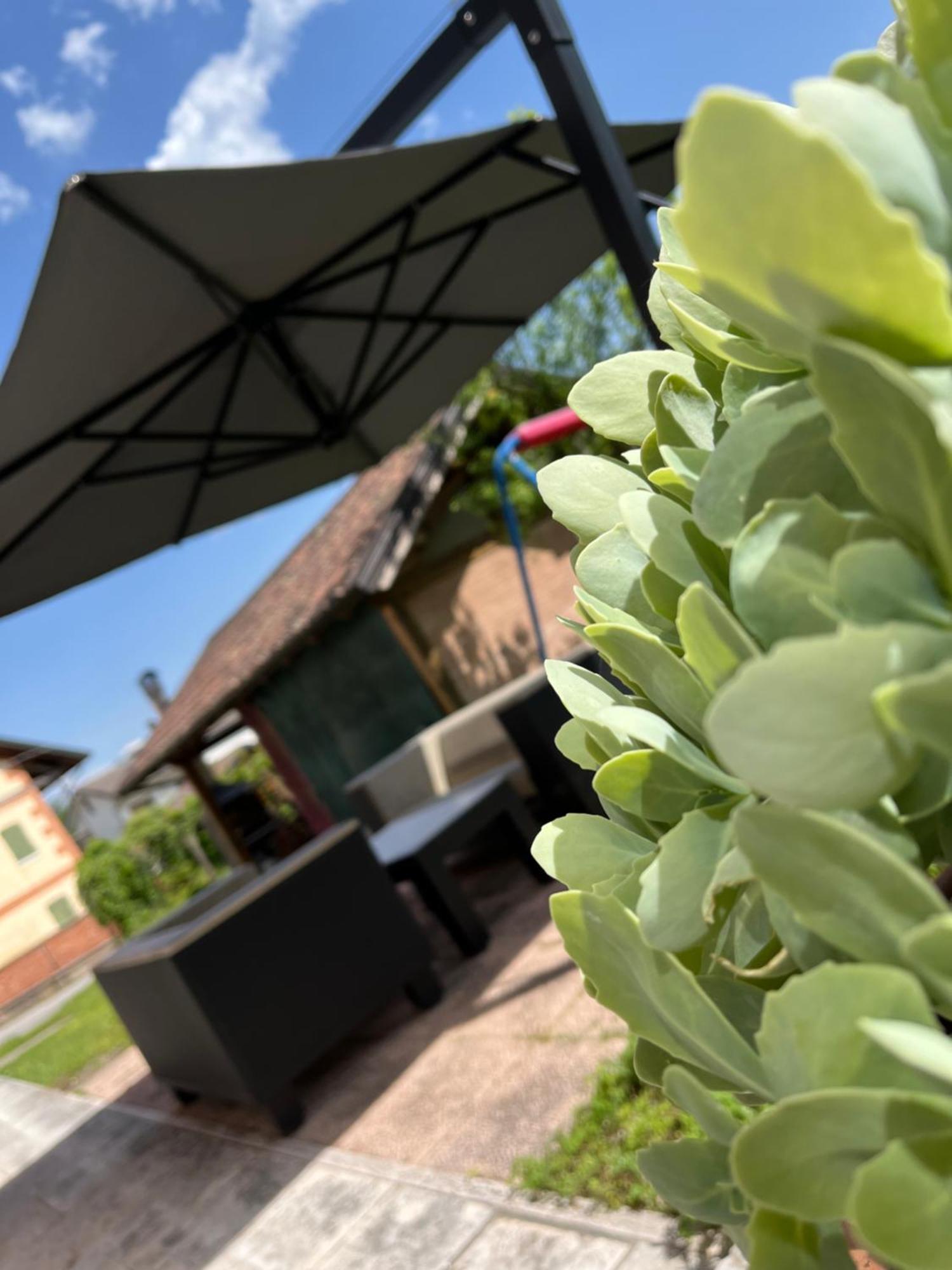 San Marcello Residence แฟลเตร ภายนอก รูปภาพ
